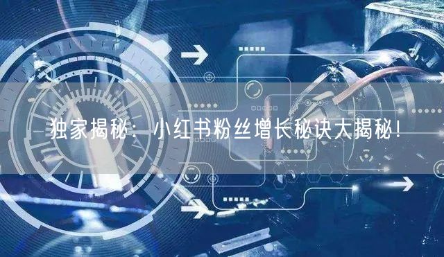 独家揭秘:小红书粉丝增长秘诀大揭秘!