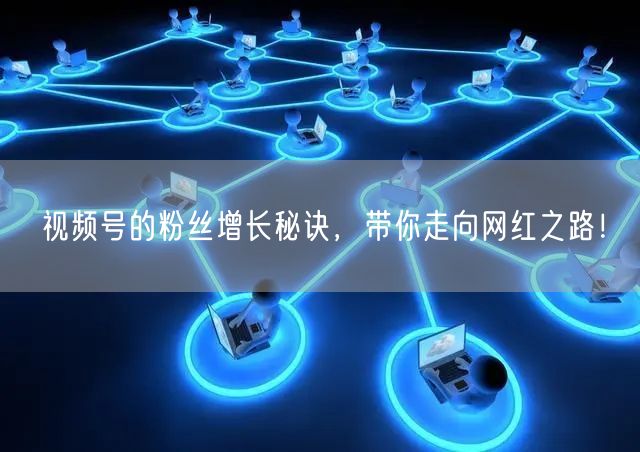 视频号的粉丝增长秘诀,带你走向网红之路!